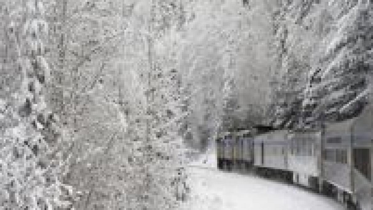 bucuresti trenuri cu intarzieri de peste 2 ore vezi ce trenuri au fost anulate