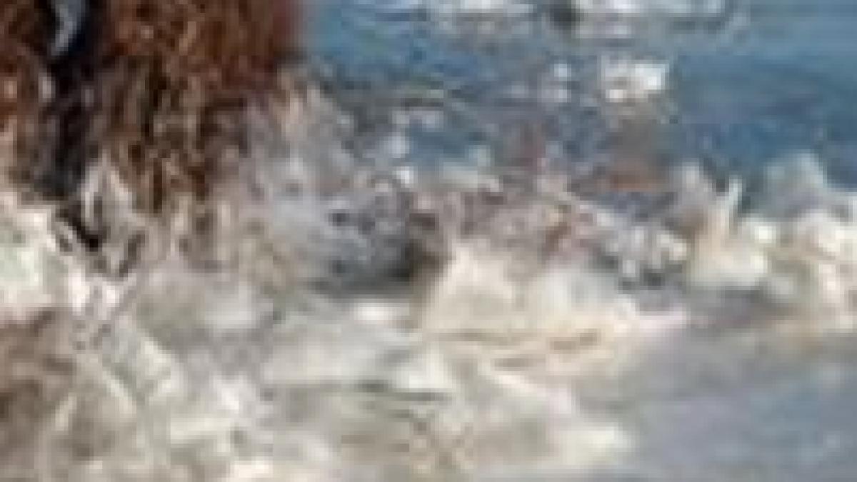 18 marinari sunt blocati pe doua impingatoare pe dunare