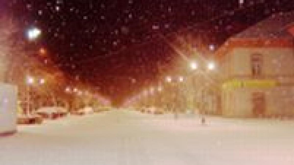 vaslui acoperisul bazarului din husi s a prabusit din cauza greutatii zapezii