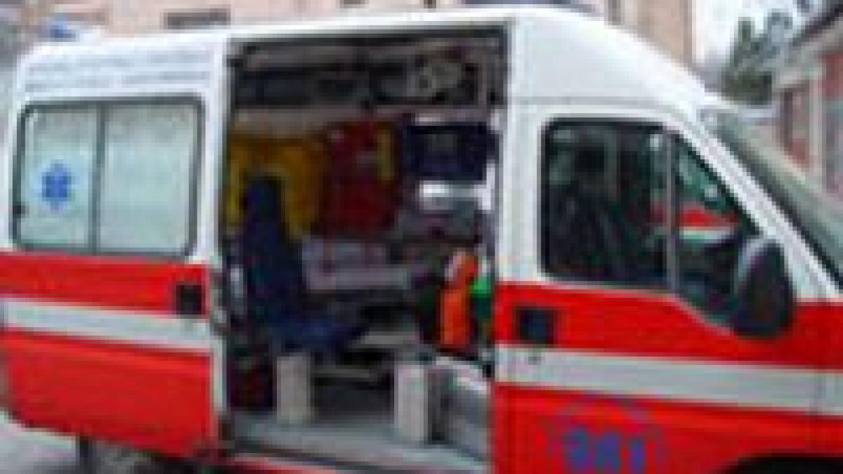 o femeie a fost grav ranita dupa ce i a cazut un turture in cap