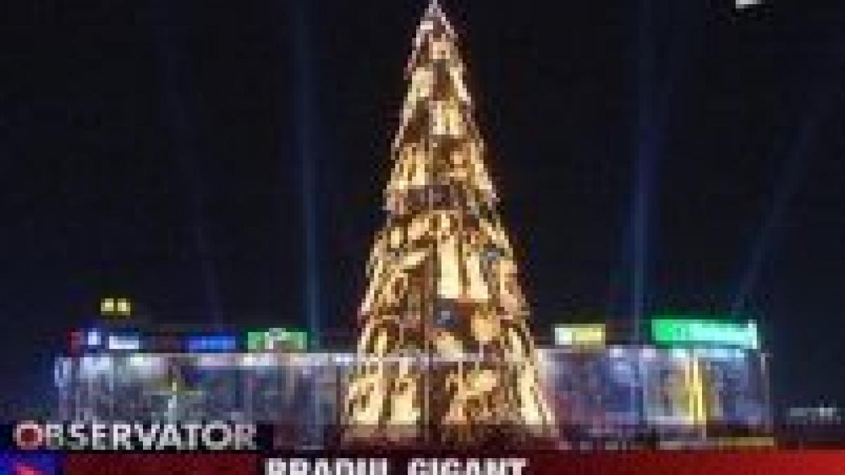 s a dat startul demolarii bradului din piata unirii