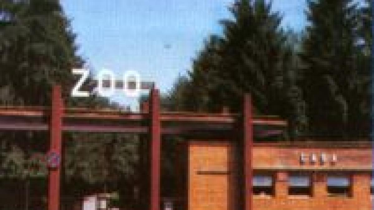 gradina zoologica din bucuresti redeschisa