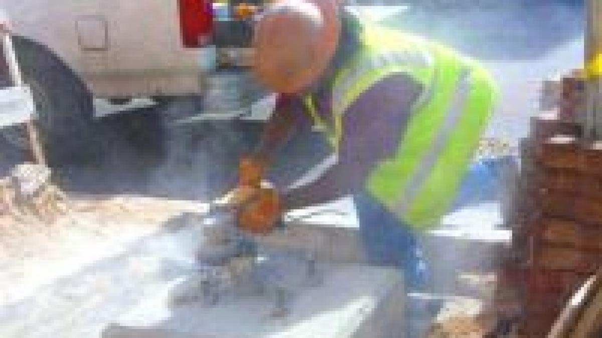 statele ue sunt indemnate sa renunte la restrictiile impuse romanilor