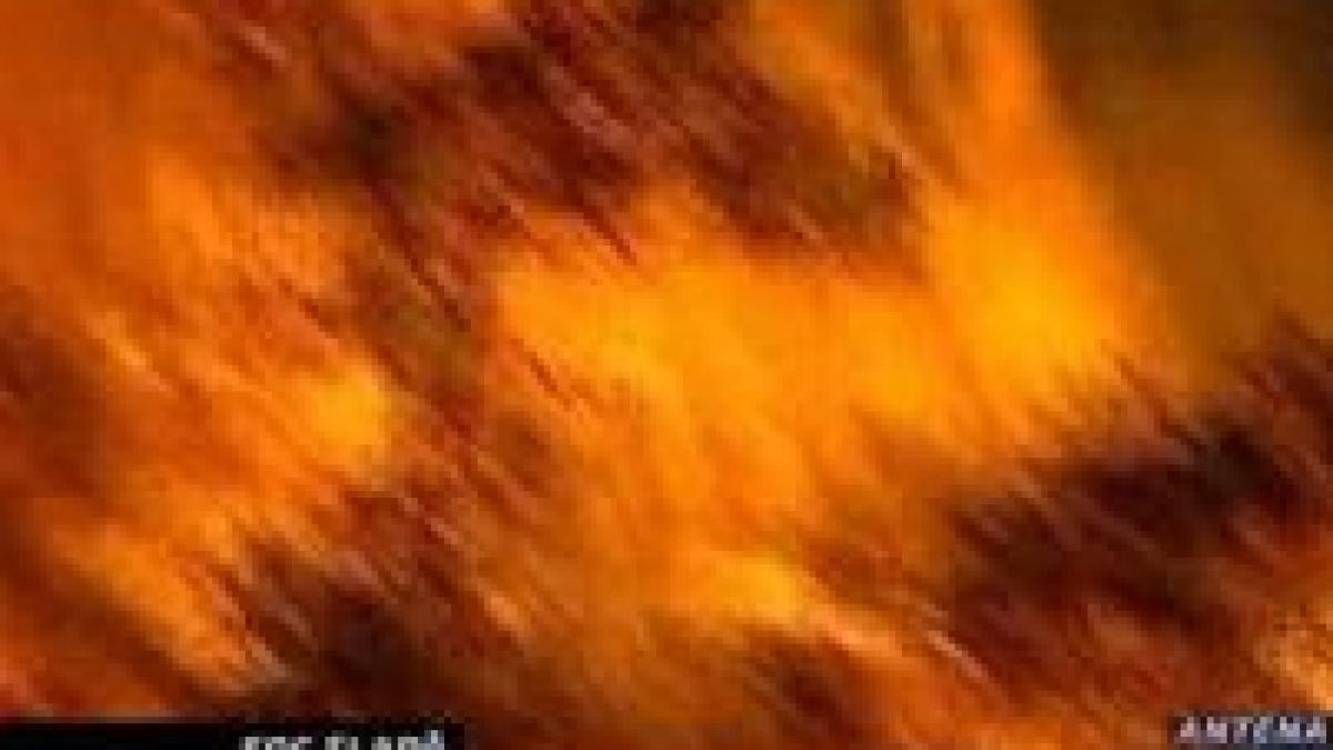 australia devastata de fenomene extreme incendii si inundatii video