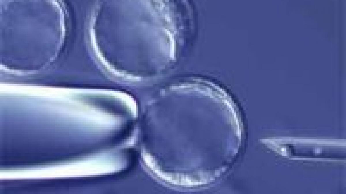 sua o companie sustine ca a creat embrioni umani prin clonare