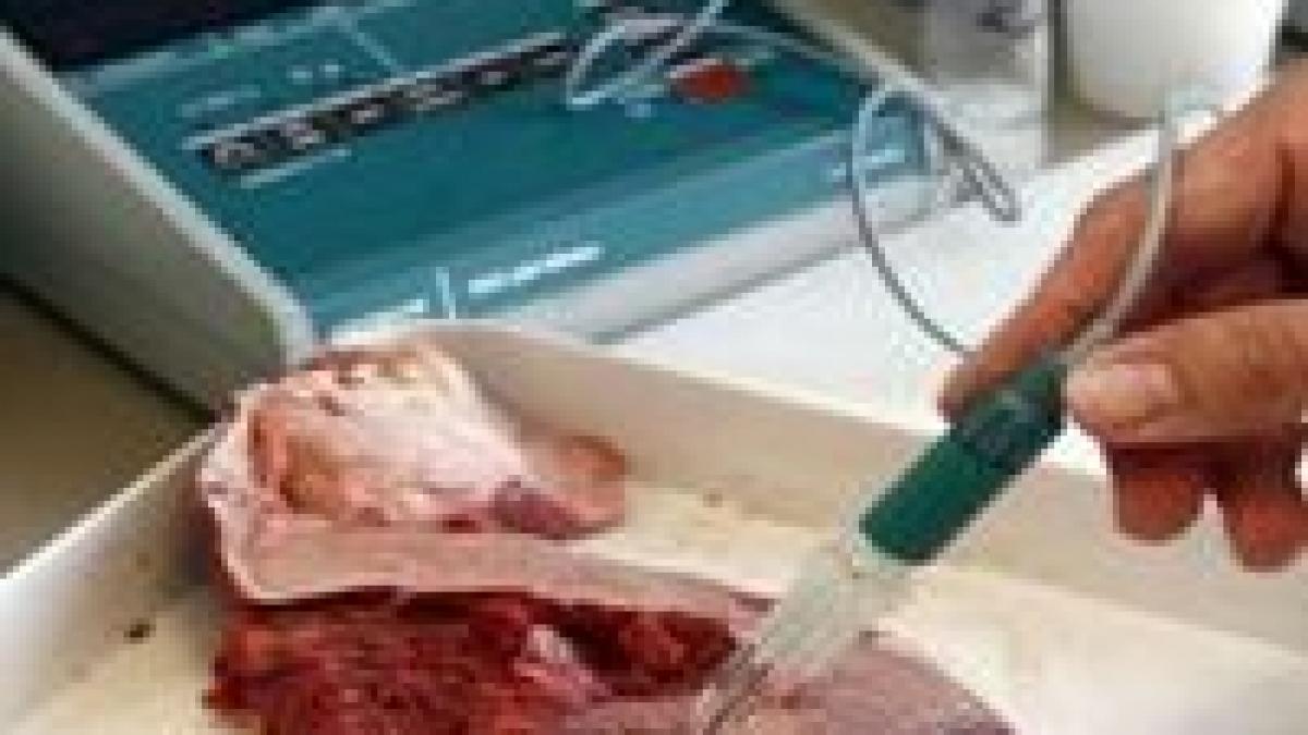 fabrica din germania cercetata pentru export de carne stricata in romania