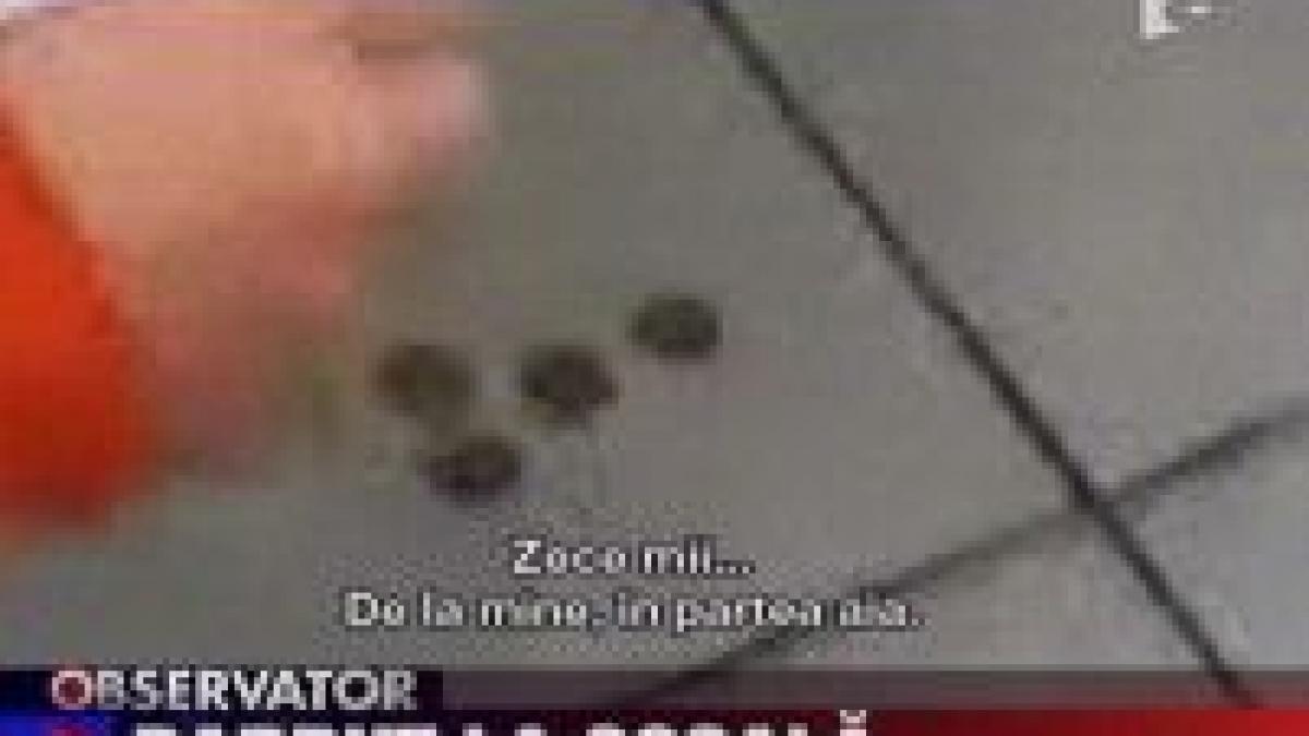 elevii unui liceu din ilfov joaca barbut in toalete video