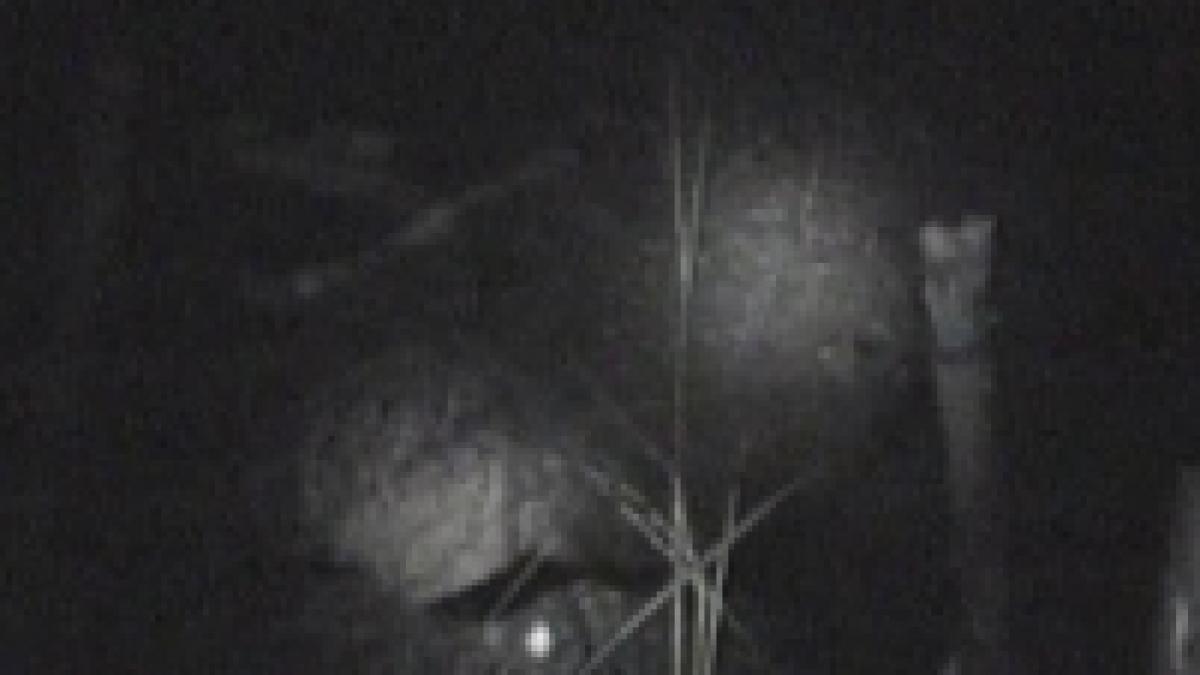 mehedinti gospodarii izolate din cauza alunecarilor de teren