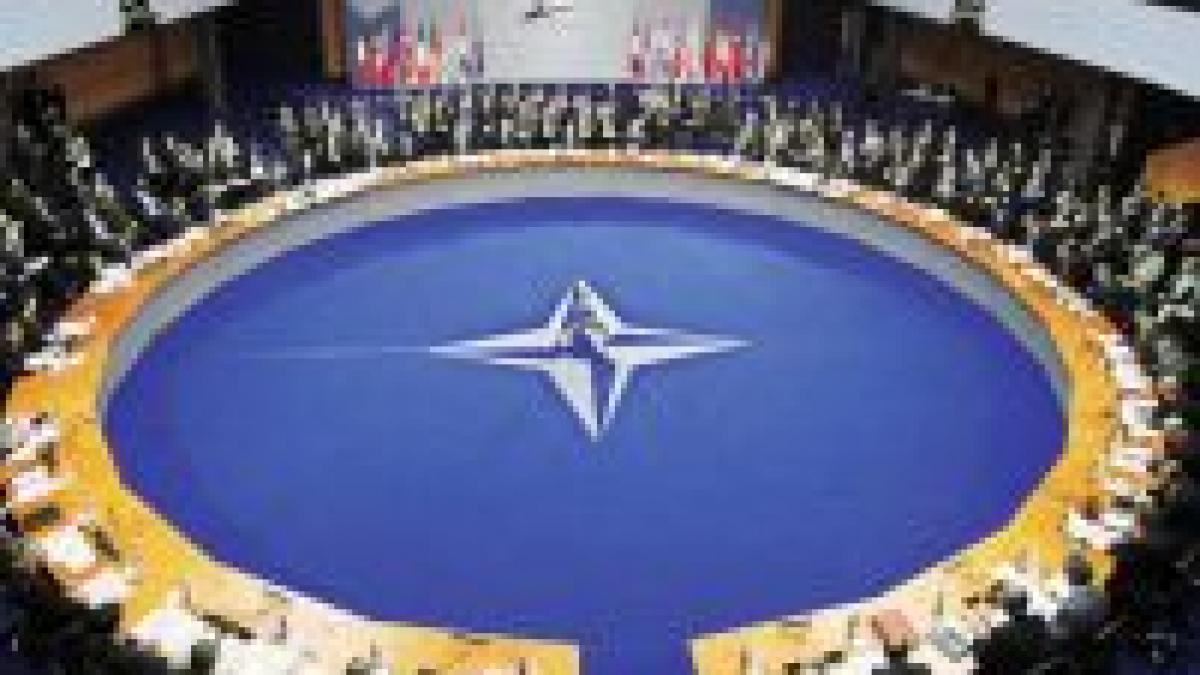 salariatii din sectorul public ar putea avea zile libere in perioada summit ului nato