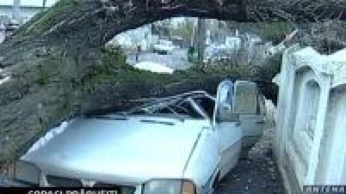 vantul puternic si ninsorile au pus stapanire pe tara