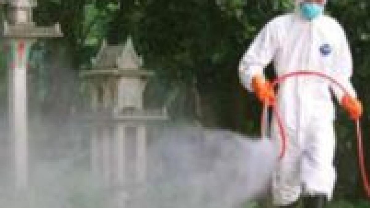 focar de gripa aviara in nordul bulgariei