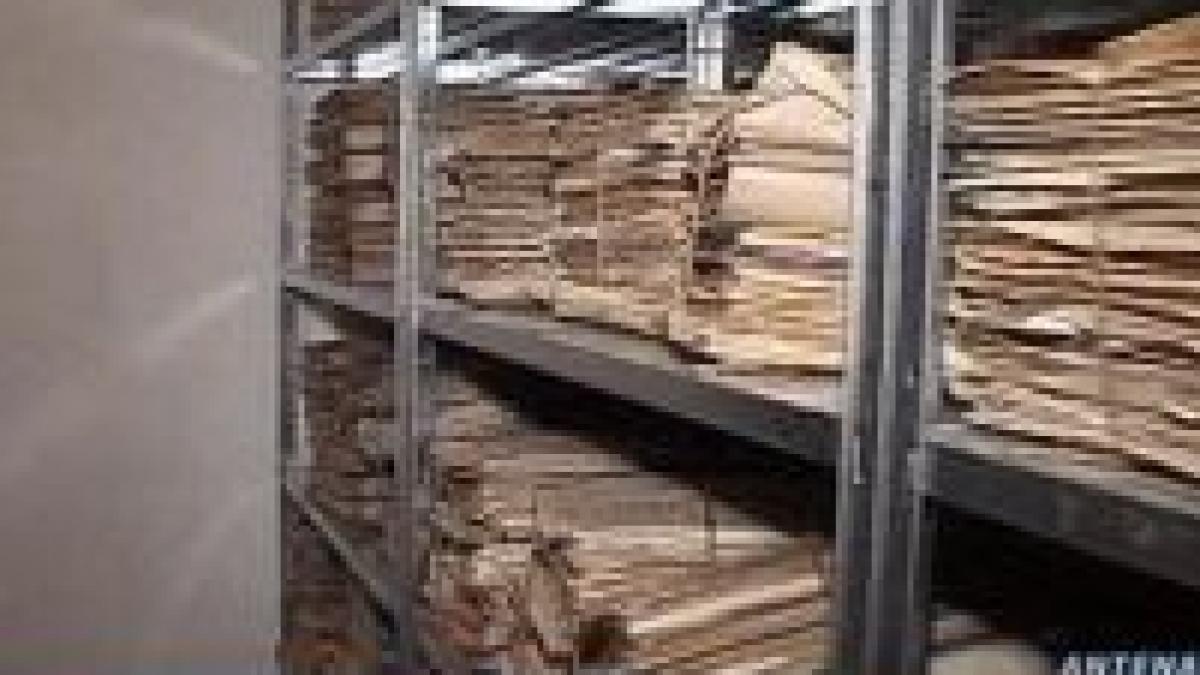 motivarea c c cnsas aducea prejudicii demnitatii si integritatii persoanelor