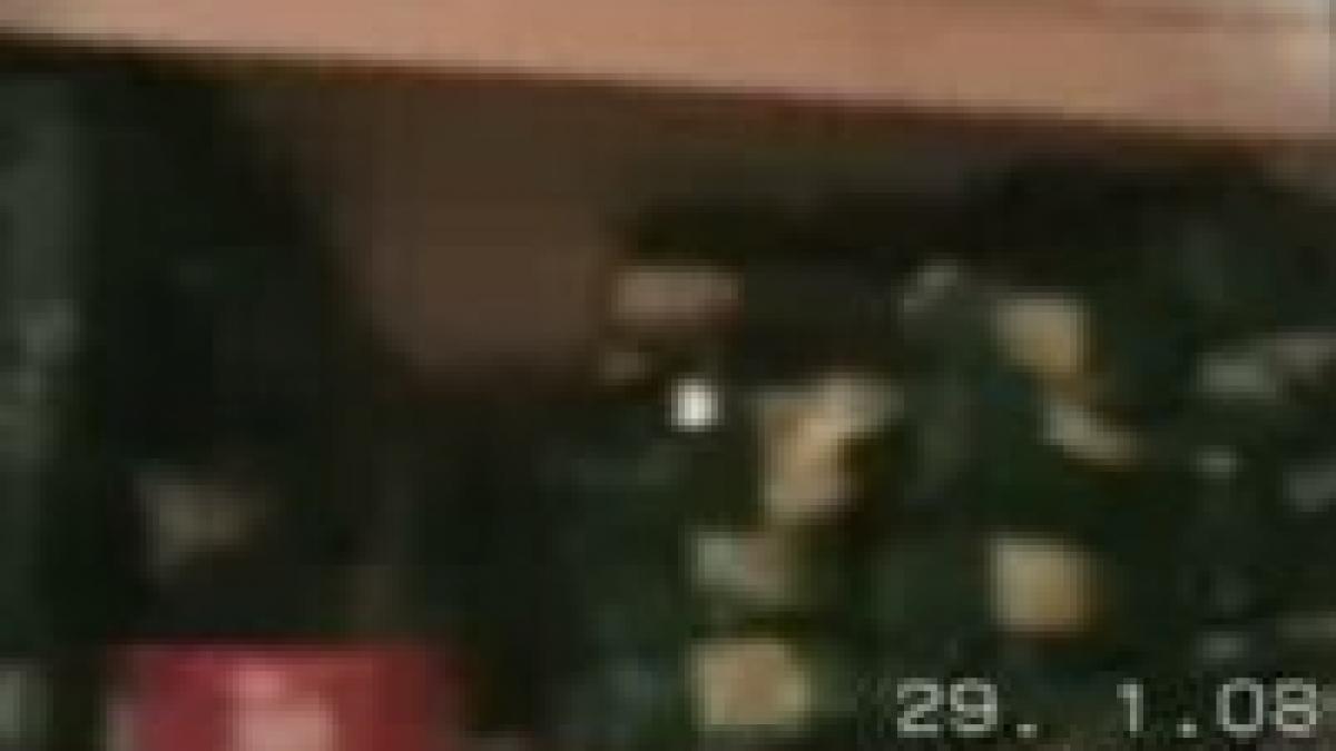 profesori din giurgiu primind mita de la elevi imagini de la flagrant