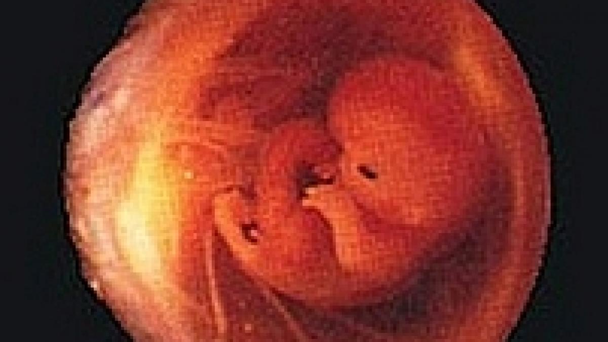 cercetatorii britanici au creat embrionul cu trei parinti biologici