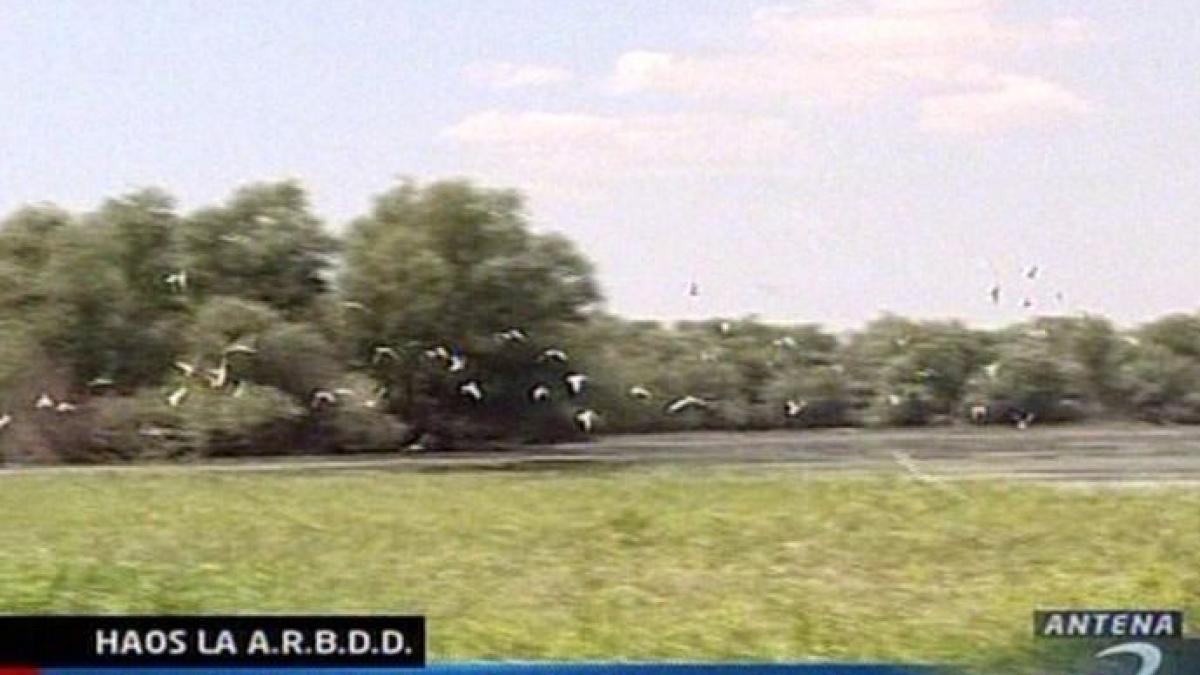 administratia deltei dunarii nu poate justifica banii cheltuiti in ultimii trei ani