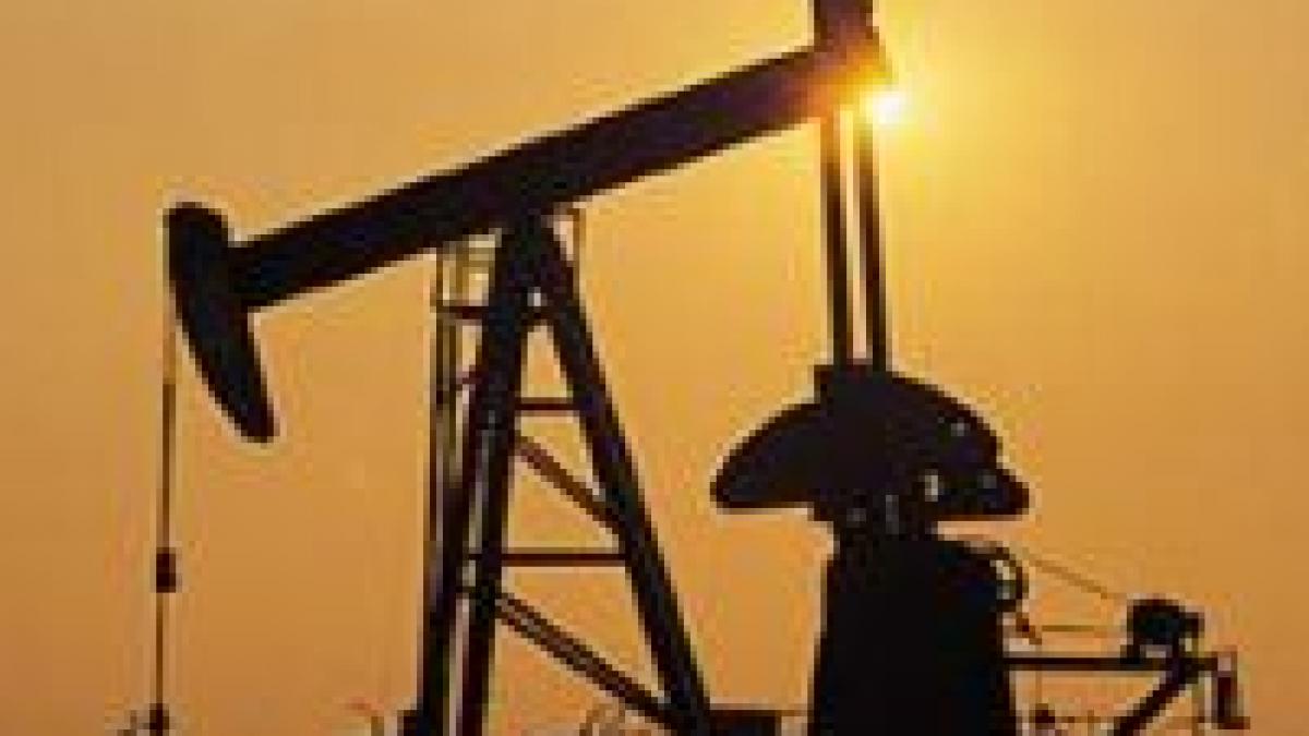 doi barbati din prahova au furat o tona si jumatate de petrol