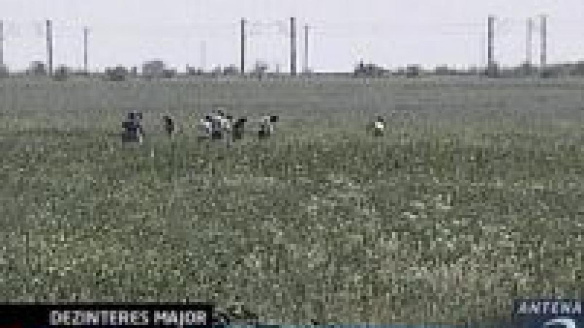 agricultorii romani nu sunt interesati de fondurile europene