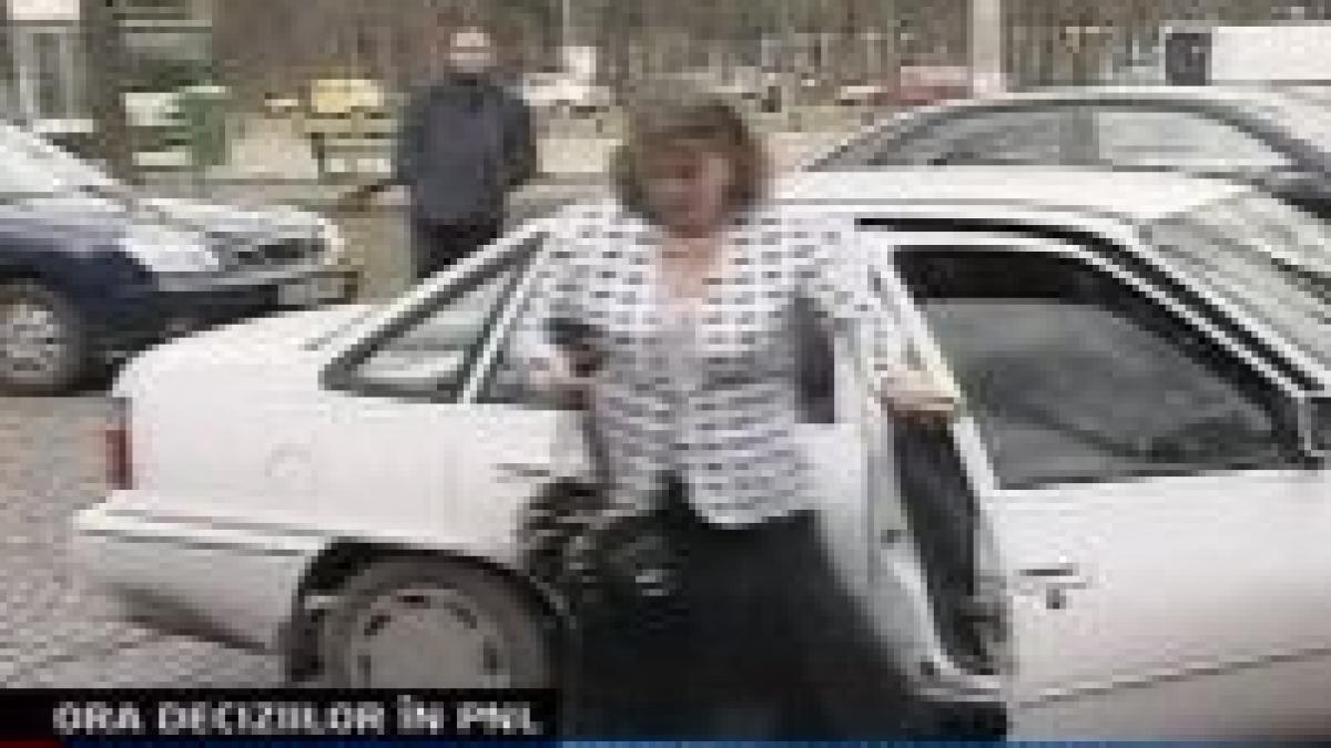 pnl discuta pe tema restructurarii executivului