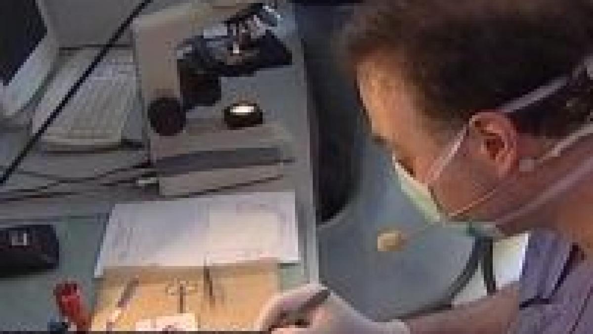 in romania cazurile de cancer cresc anual cu cate 2 000 de bolnavi