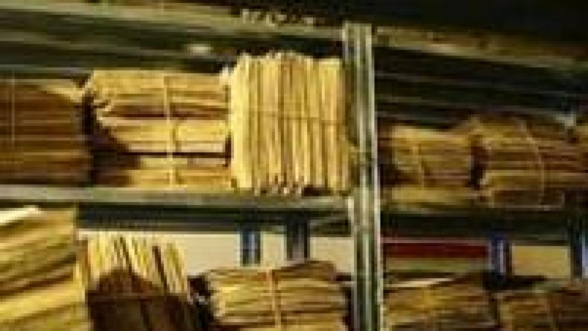 membrii cnsas se intalnesc cu reprezentantii ministerului justitiei