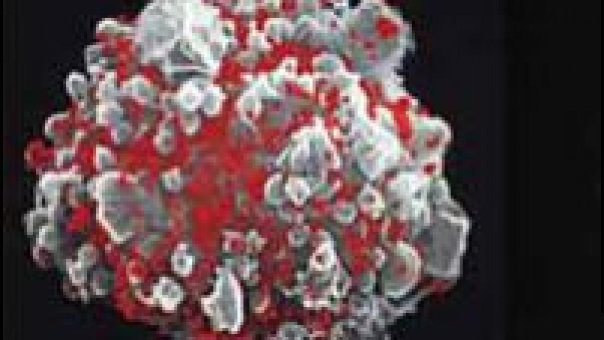 esec in incercarea cercetatorilor de a controla hiv prin antivirusi