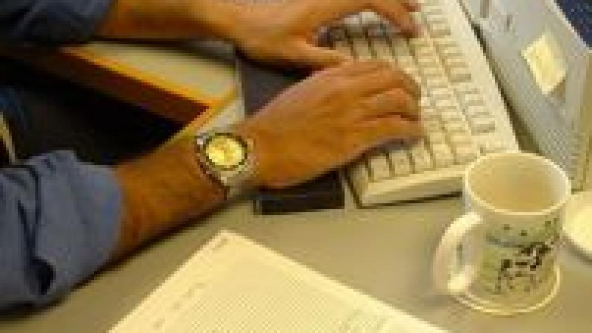 job uri la mare cautare in constructii it si contabilitate