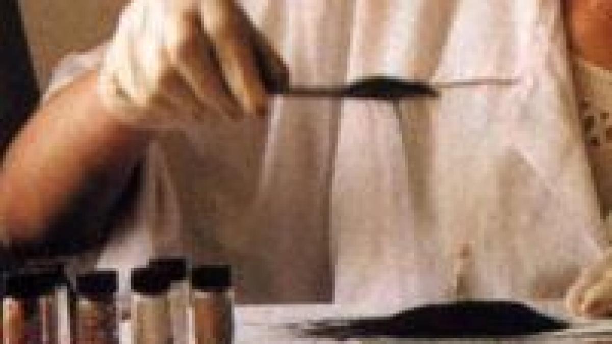 spania doua romance arestate pentru detinere de droguri in valoare de un milion de euro