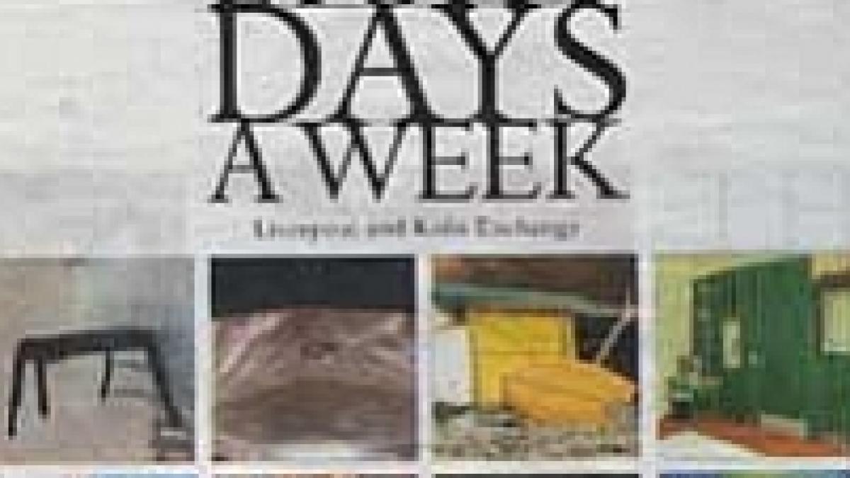 spectacol coregrafic romanesc la kaaitheater bruxelles