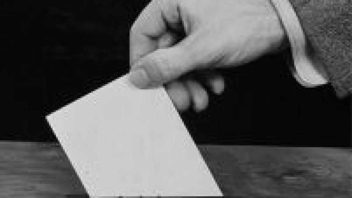 pnl psd udmr si pc au ajuns la un consens in privinta votului uninominal