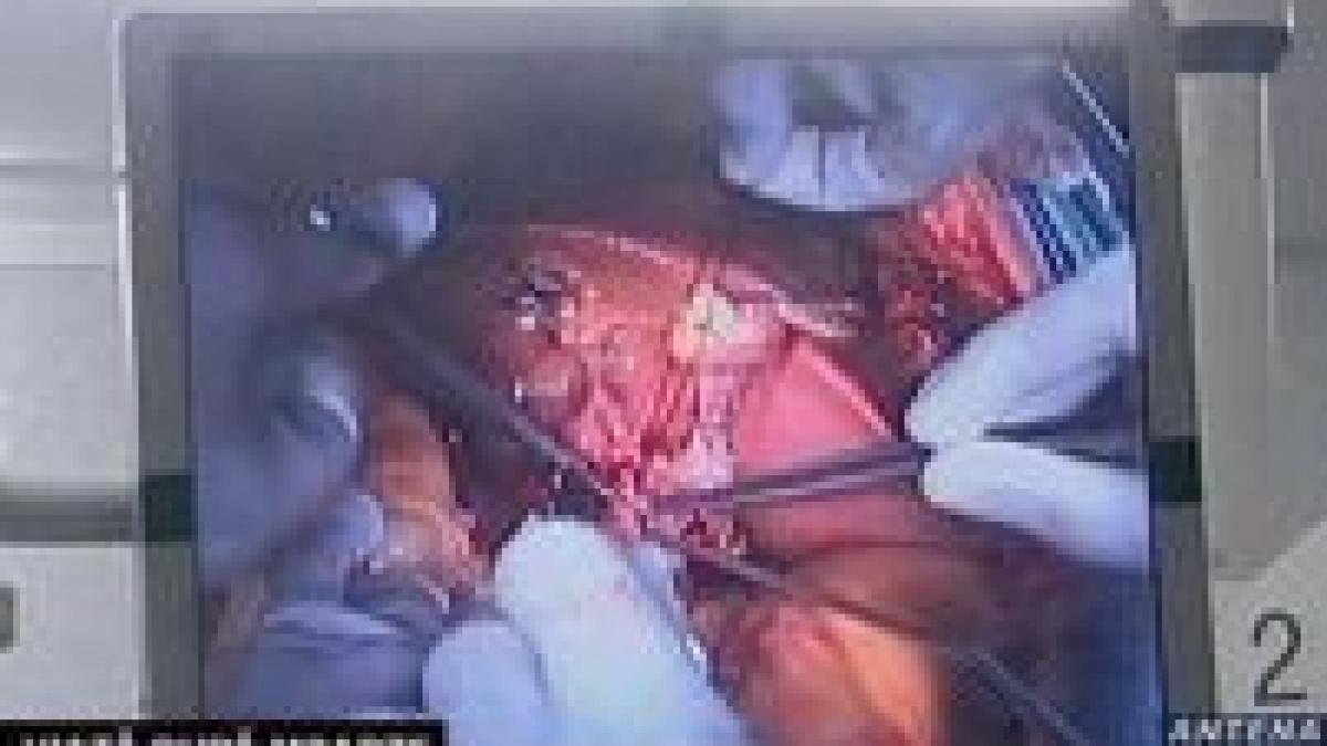 un copil de sase ani cel mai tanar donator de organe din romania