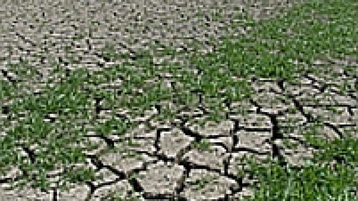 in 2008 romania va oscila intre seceta si inundatii