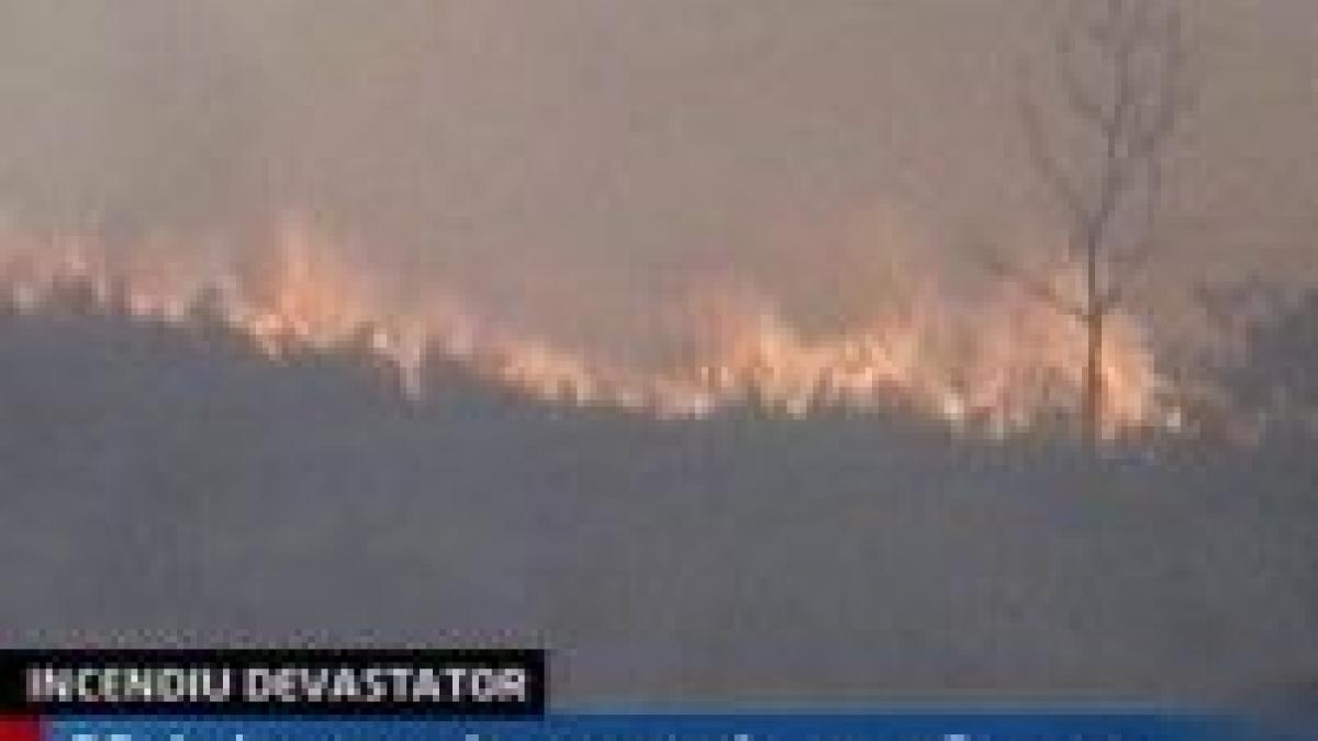 incendiu langa resita 90 de hectare de vegetatie uscata au ars video