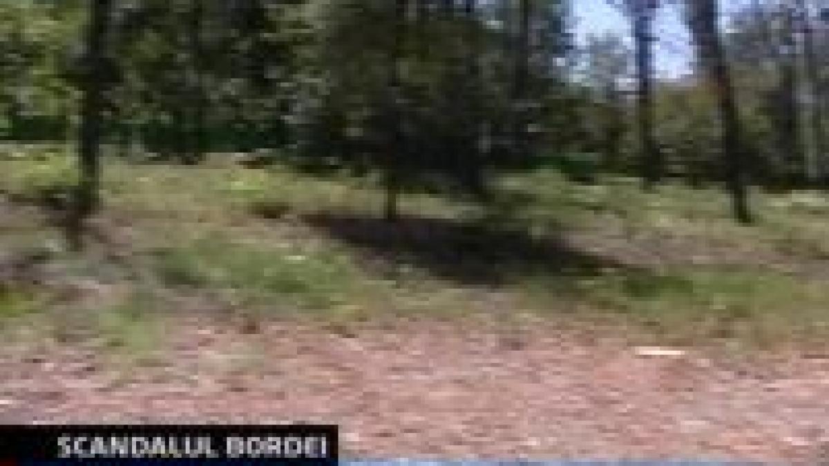 parcul bordei din nou in pericol de asfaltare