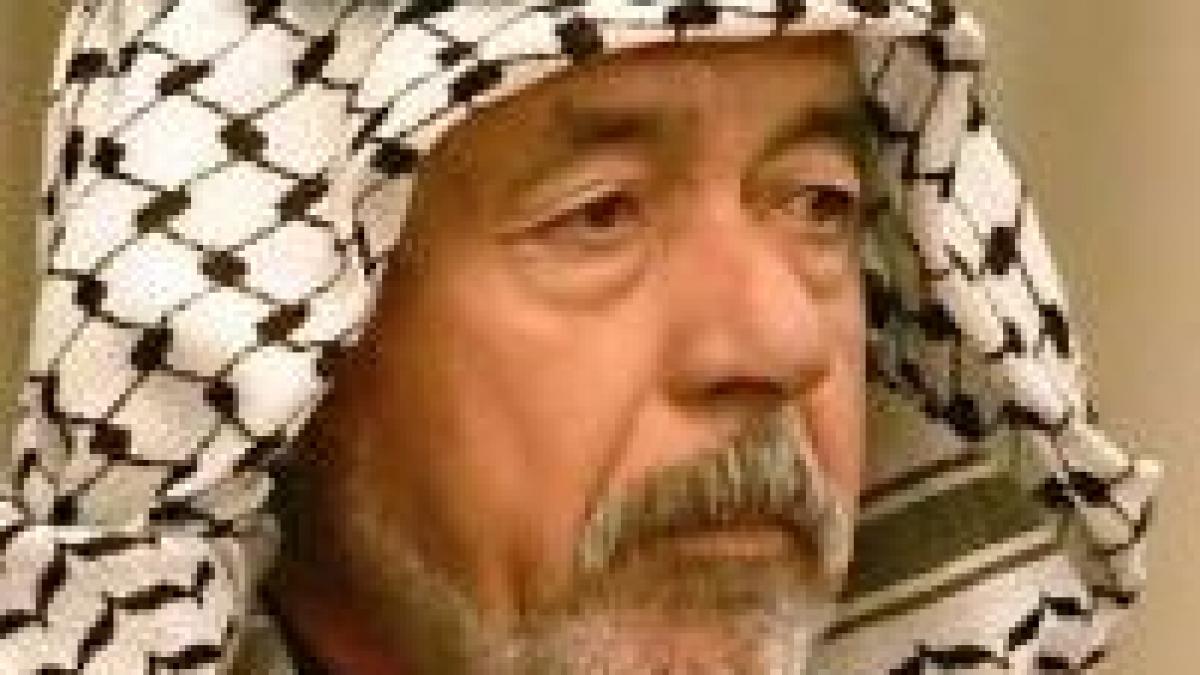 irak executia lui chemical ali a fost aprobata