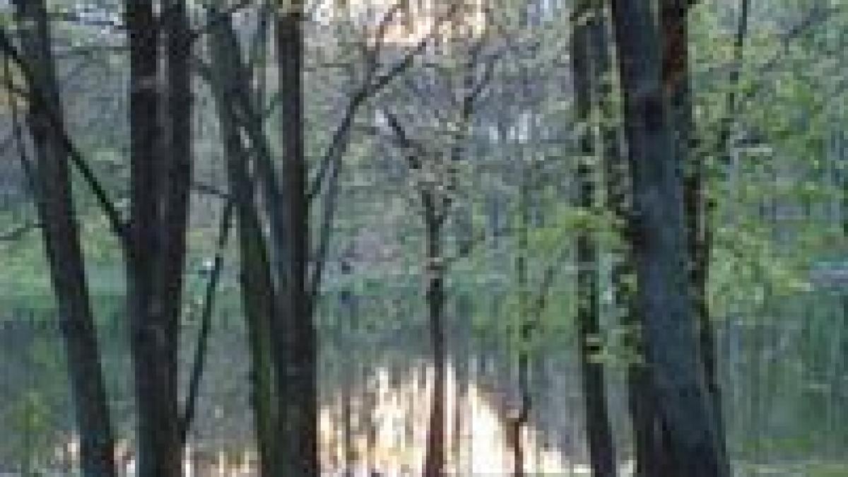 meteo de weekend vreme calda pentru aceasta perioada vant si ploi