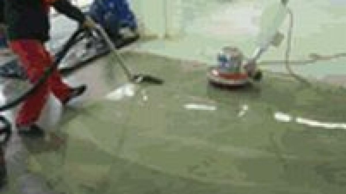 primaria capitalei incepe marti campania de deratizare