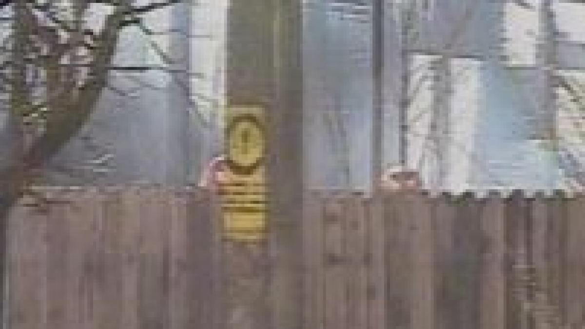 snagov 5 case din silistea au fost cuprinse de flacari