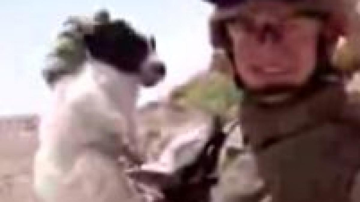 soldati americani investigati pentru molestarea unui catelus video