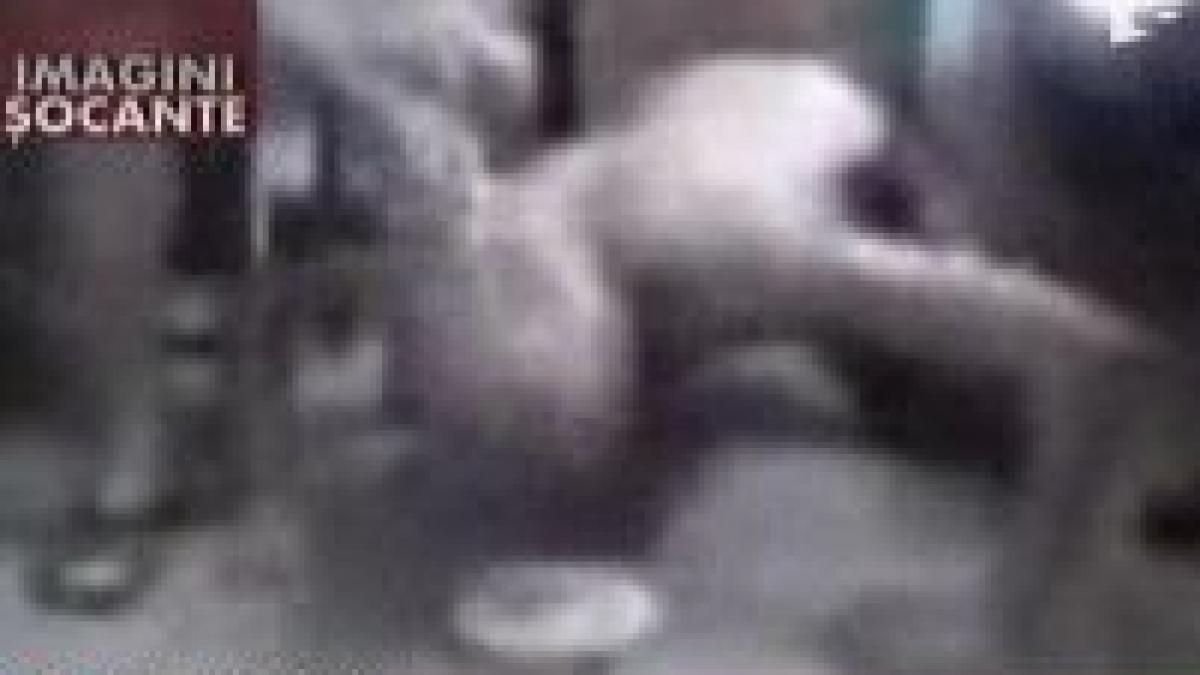 cedo a condamnat bulgaria pentru conditiile din inchisori video