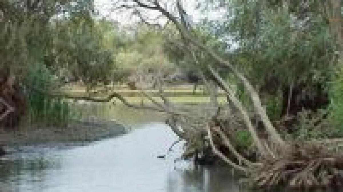 ue cere ucrainei revocarea deciziei de construire a canalului bastroe