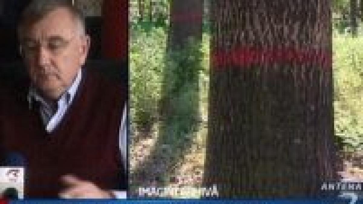 chiliman videanu este in cardasie cu costanda