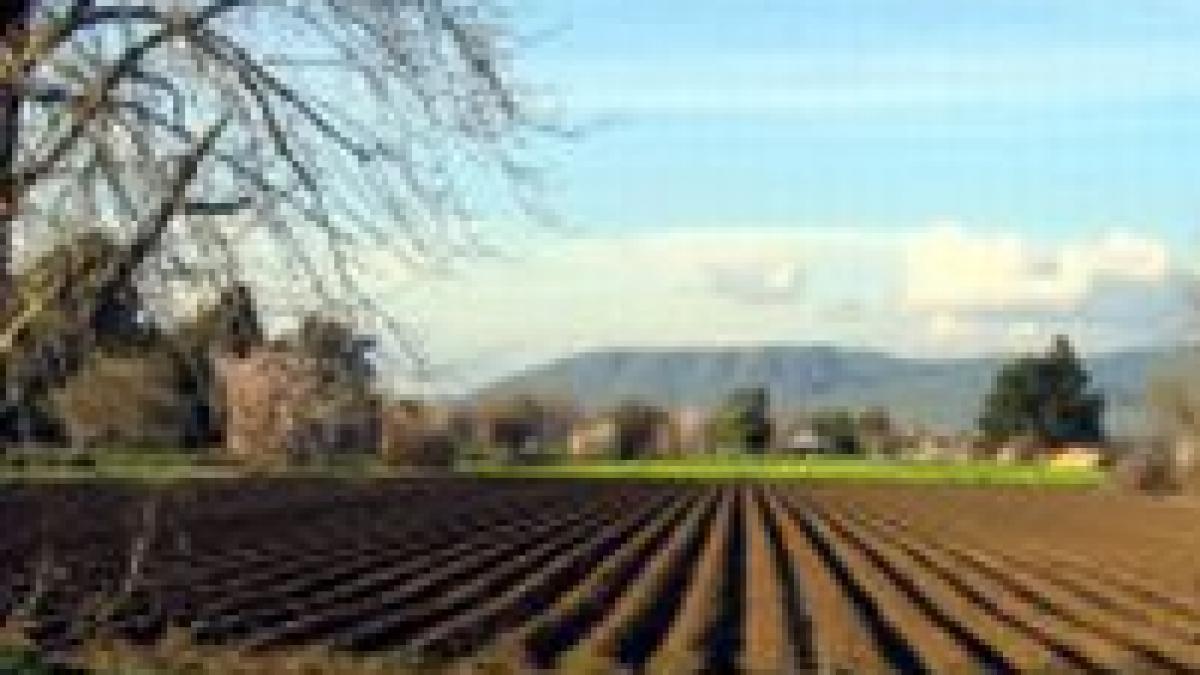 frauda in bulgaria comisia europeana a suspendat subventiile pentru agricultura
