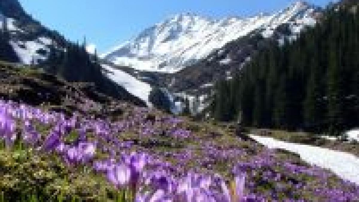 meteo de weekend vremea calda revine