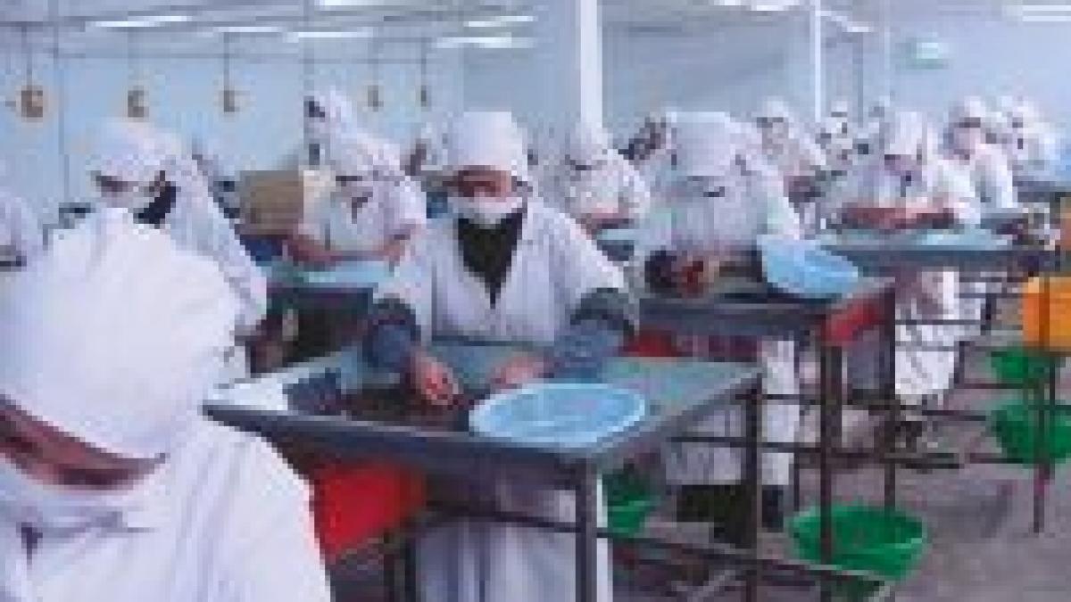 femeile obtin mai multe locuri de munca decat in trecut