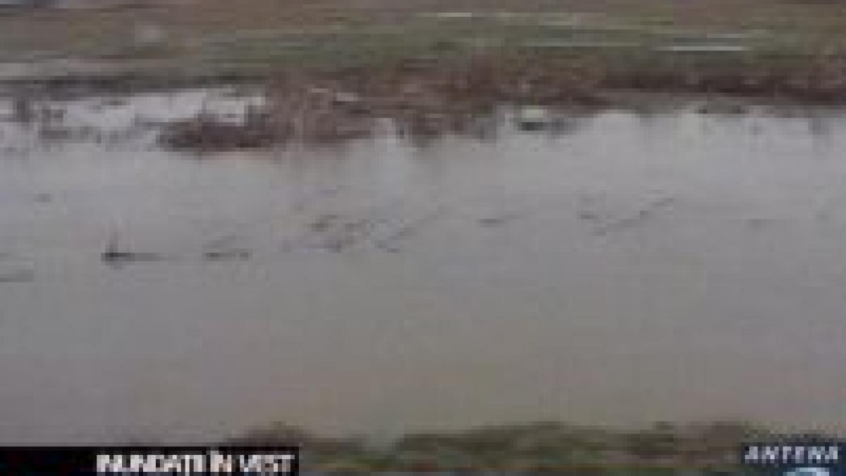 inundatiile au afectat sute de hectare de teren arabil