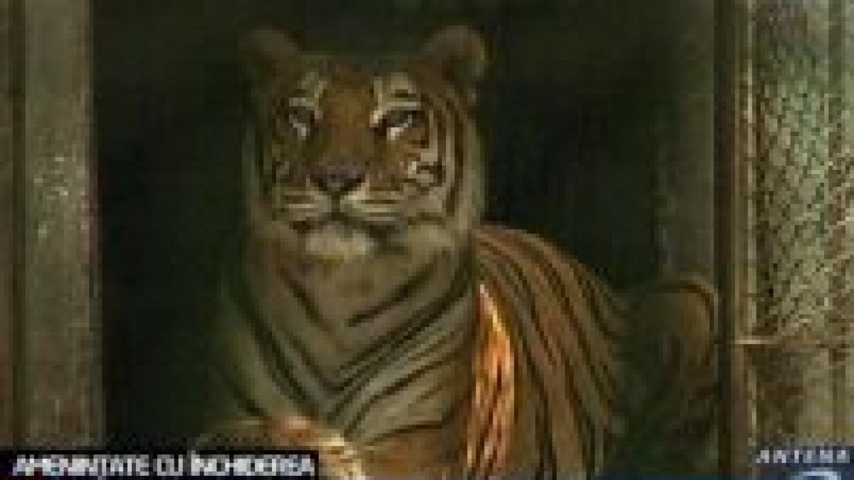 attila korodi gradina zoologica din bucuresti nu se inchide