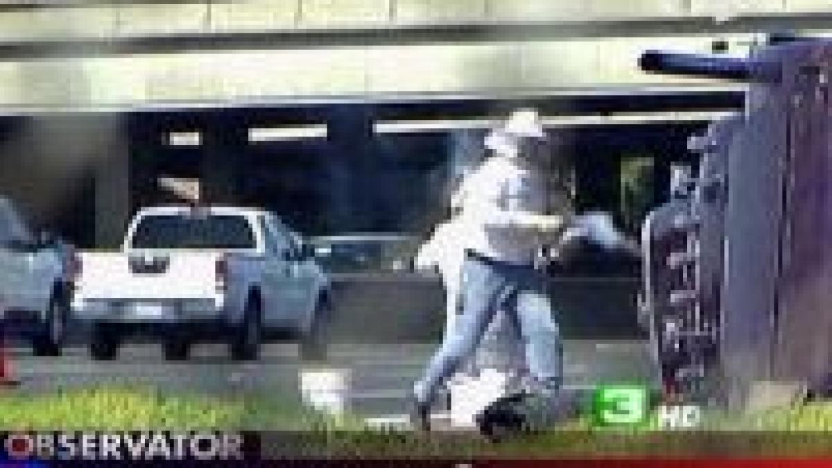 sua un camion cu stupi de albine s a rasturnat pe o strada din washington video