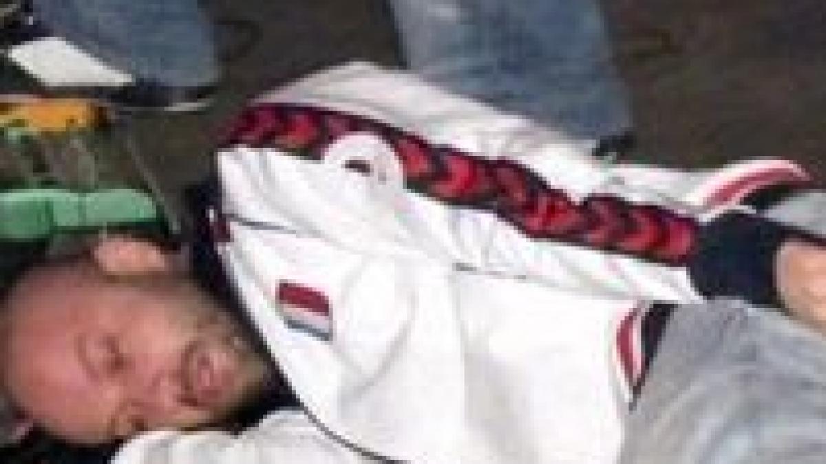 nani la birou solistul trupei omul cu sobolani a adormit pe scena