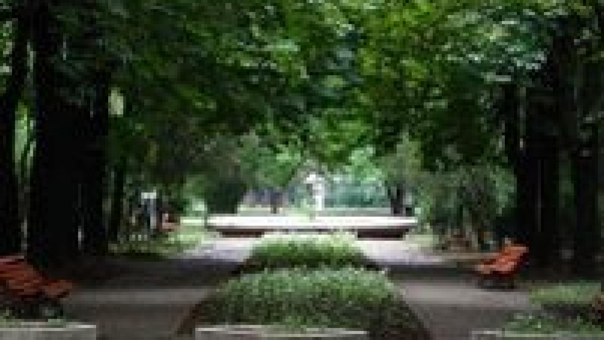 denumirea copou a fost inregistrata la osim de finii primarului iasului