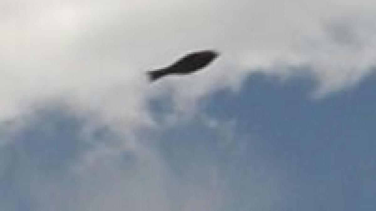 cititor antena3 ro pesti zburatori sau elicoptere nato